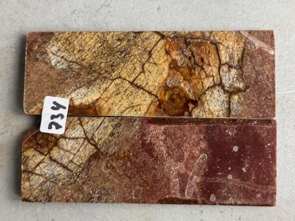 Stabilisierter Dinoknochen - 9